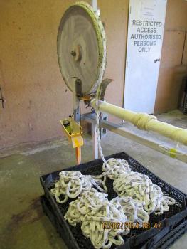 TOPS Oyster seeding machine