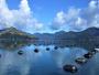 oyster farm